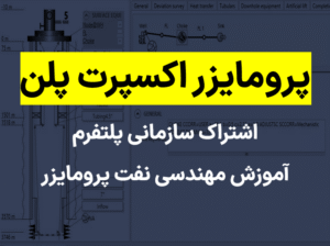 پرومایزر اکسپرت پلن