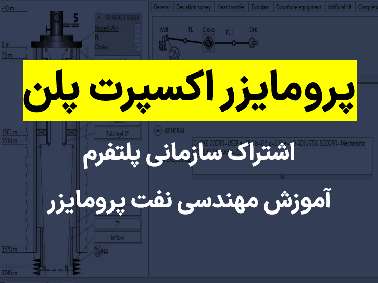 پرومایزر اکسپرت پلن